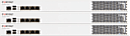 FortiMail 60, 200, 400